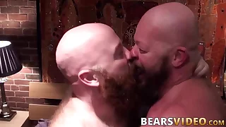 1142 bear porn videos